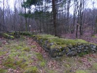 6  Saverne LE WASSERWALD 05 03 2017 34